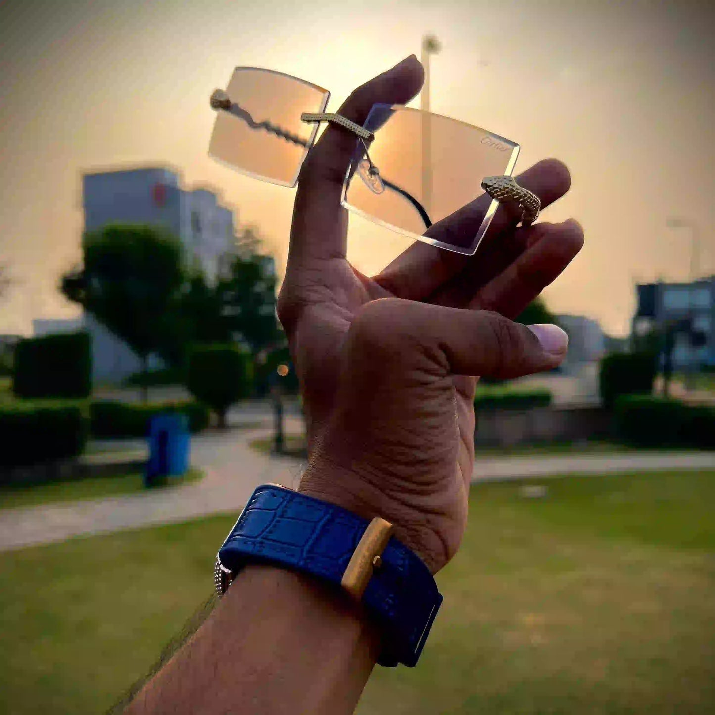 COBRA MAGIC PHOTO SUN GLASSES