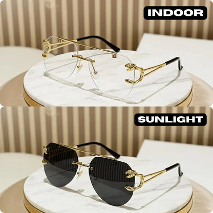 SOLAR TIGER FACE BLACK TRANSITION